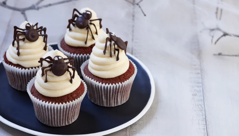 Cupcake al cioccolato per  Halloween