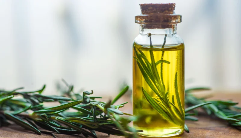 Olio al rosmarino