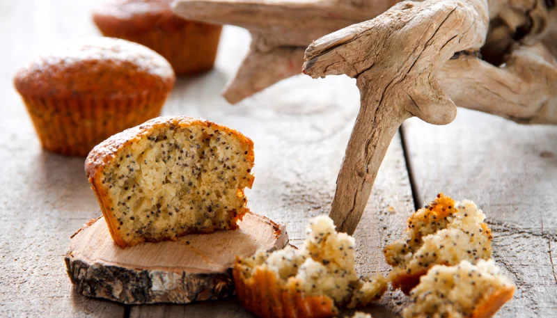 Muffin ai semi di papavero