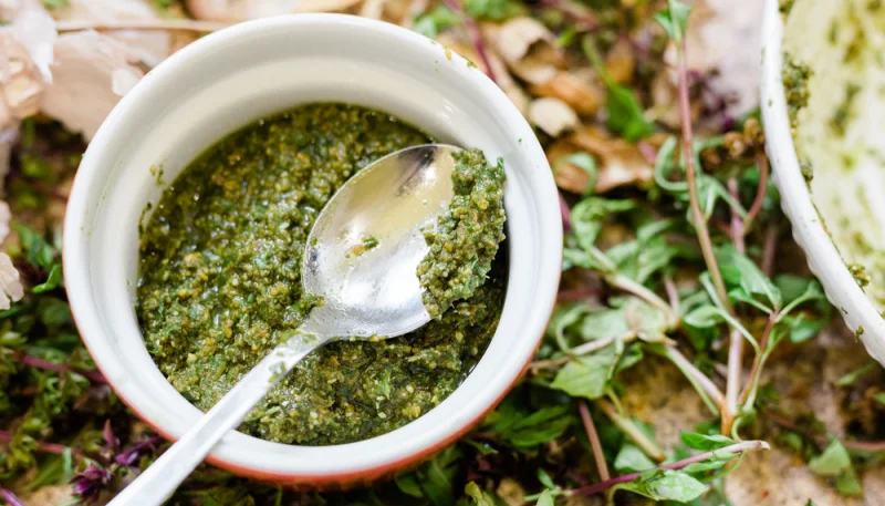 Pesto di melanzane