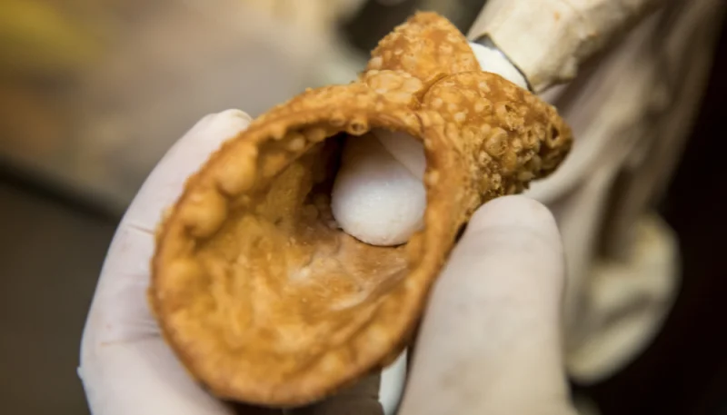 Scorze di Cannoli Siciliani