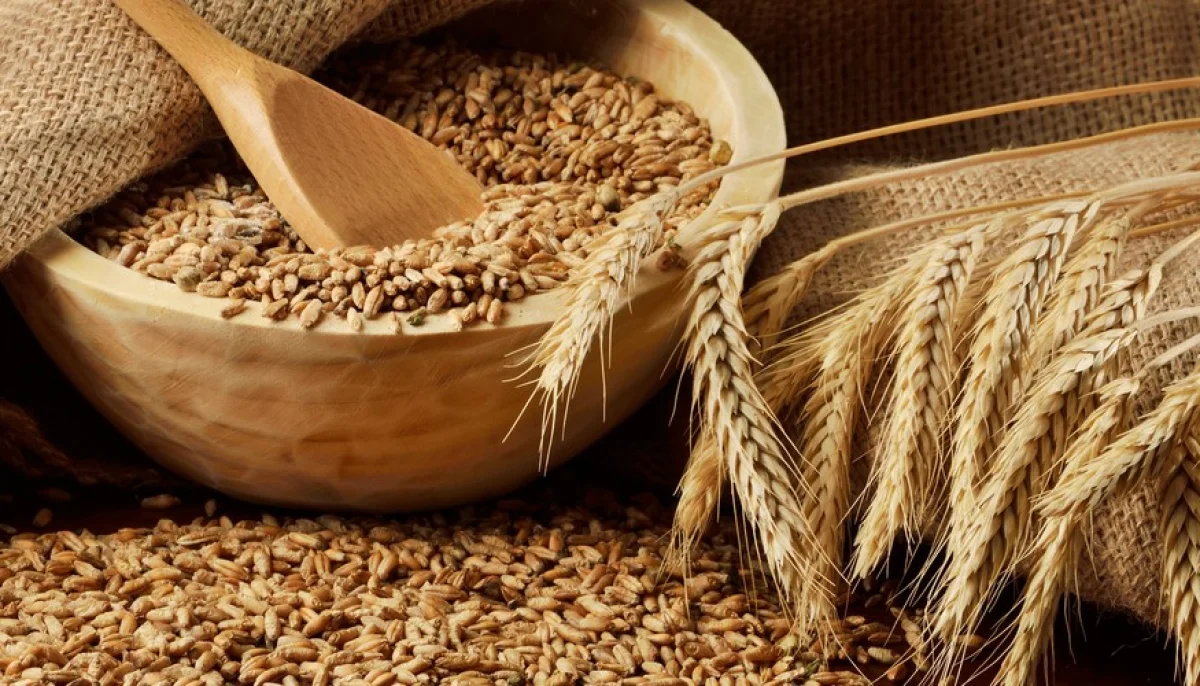 I cereali sono indispensabili nella nostra alimentazione?