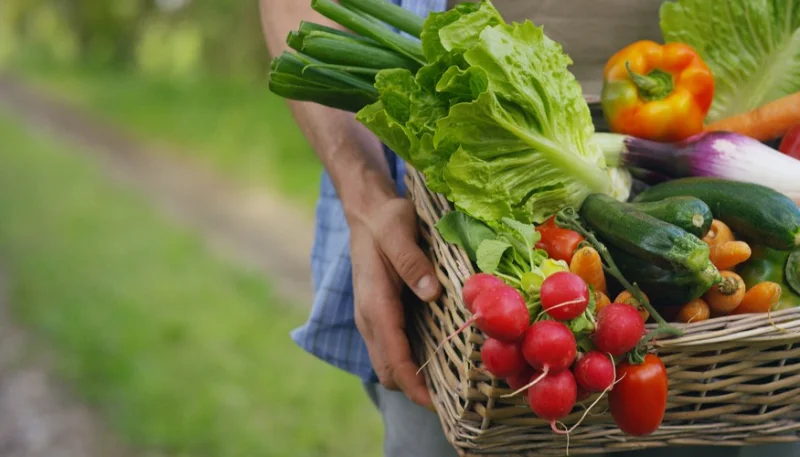 Come consumare in maniera più responsabile?