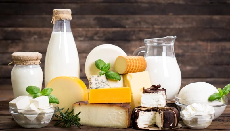 I latticini e il loro ruolo all'interno della nostra alimentazione