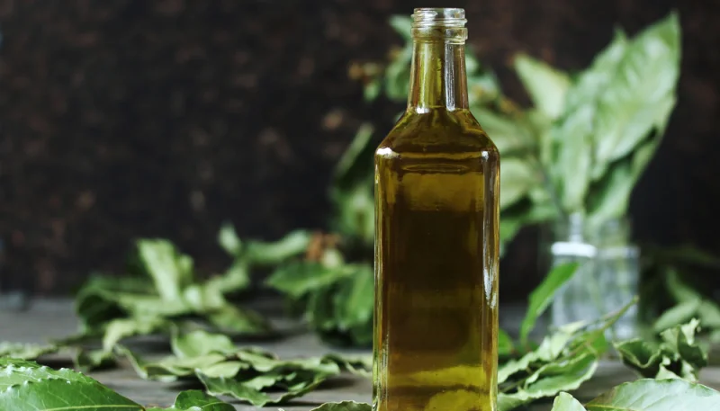 Liquore all’alloro