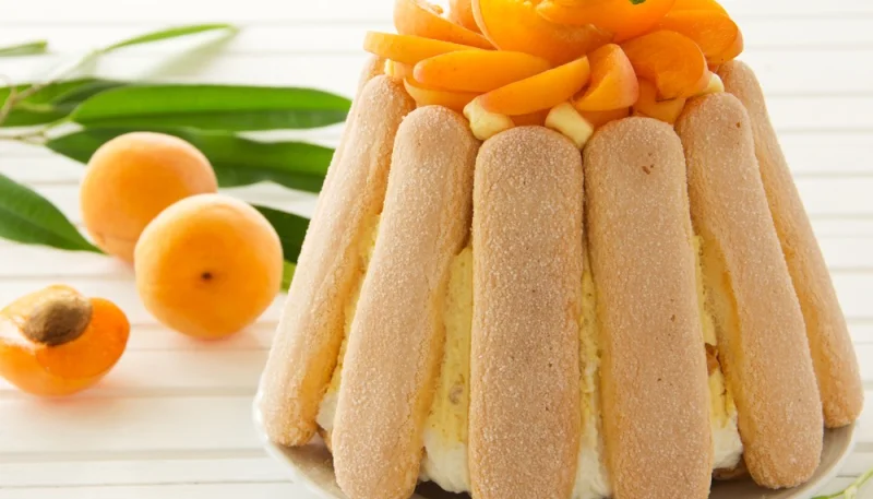 Charlotte alle albicocche